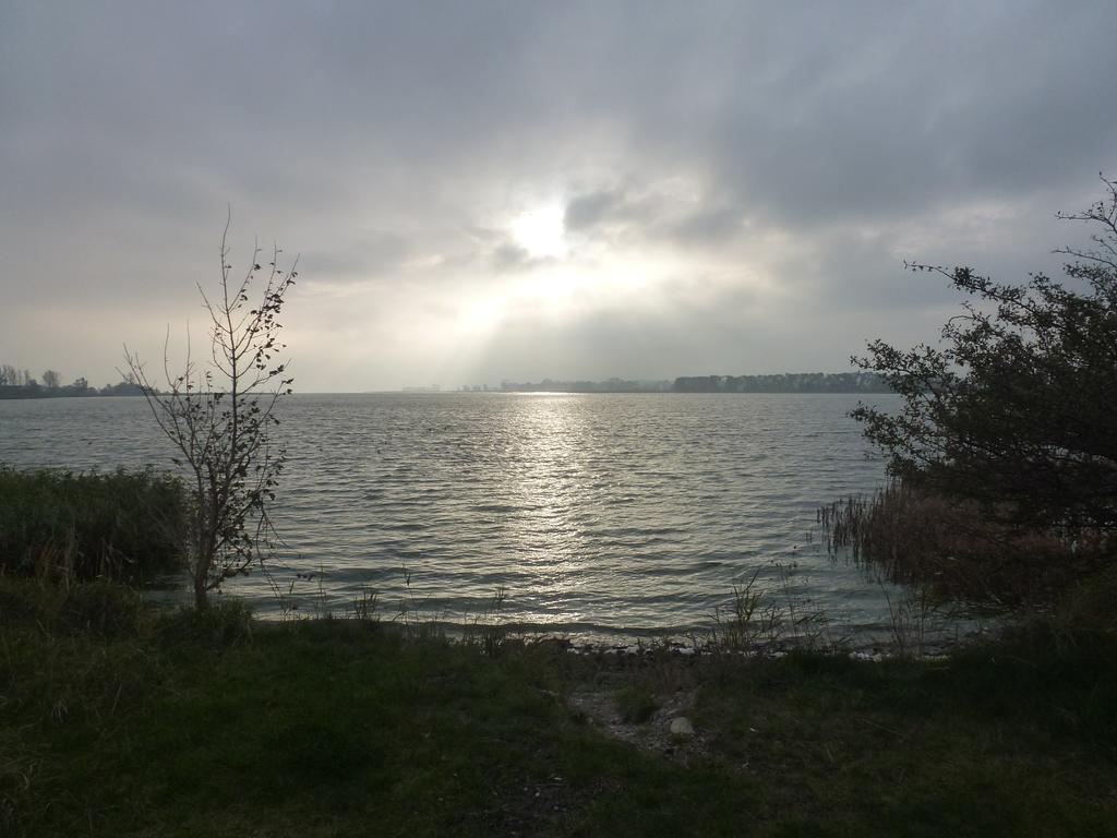 Strandläufer Zempin Zimmer foto